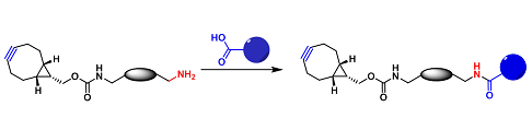BCN-羧基/羰基反应